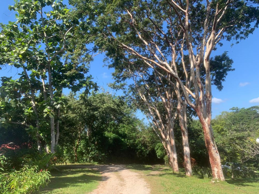 hotel quiloma ranch