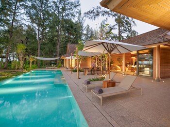 the pines
