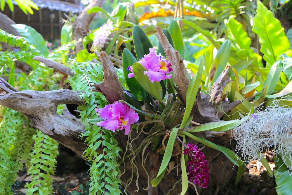 the oriental siam resort