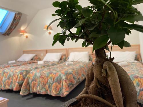 hotel corona lourdes