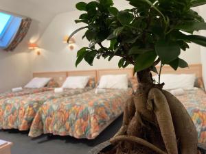 hotel corona lourdes