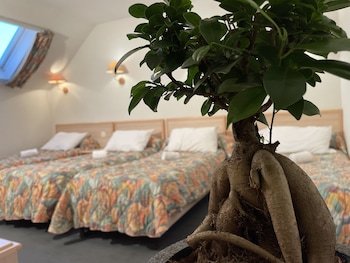 hotel corona lourdes