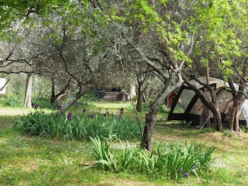 auberge de jeunesse hi nimes
