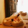 riad nolita and spa kasbah