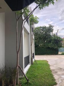 im residence chiangmai