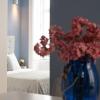 aveiro history apartments