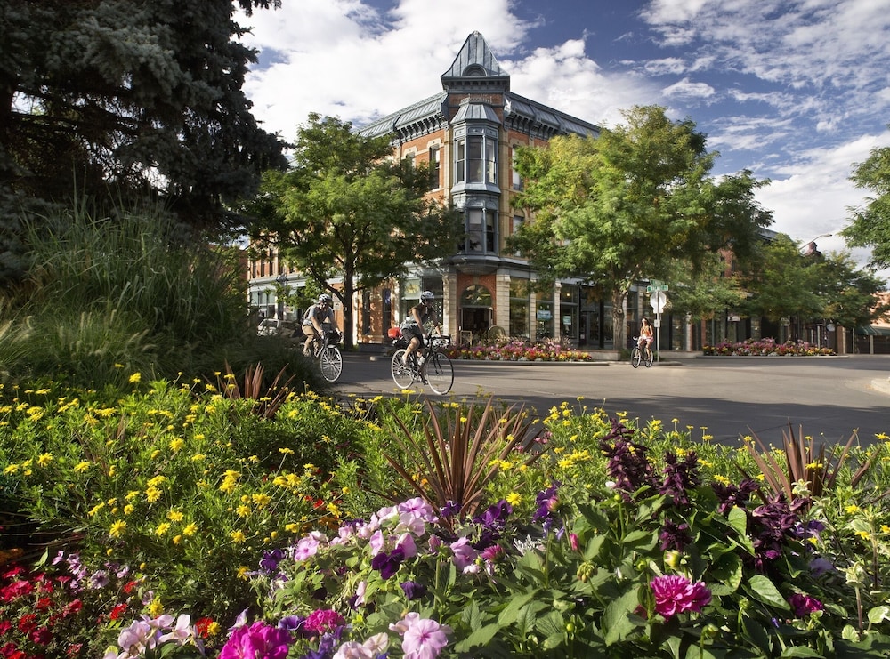 fort collins