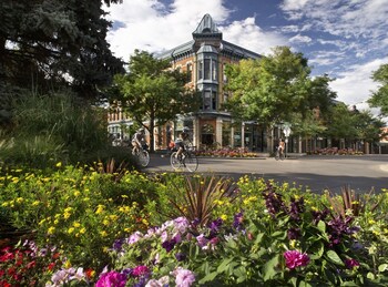 fort collins