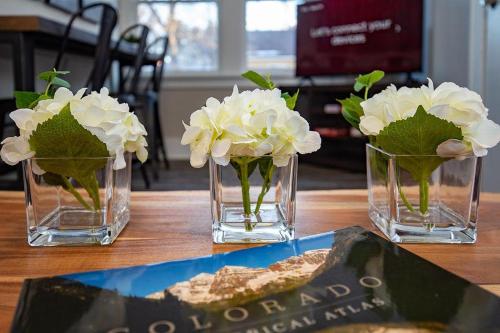 cozy carriage house walk to unc free bikes