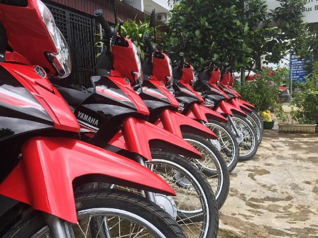 hg hostel and motorbikes