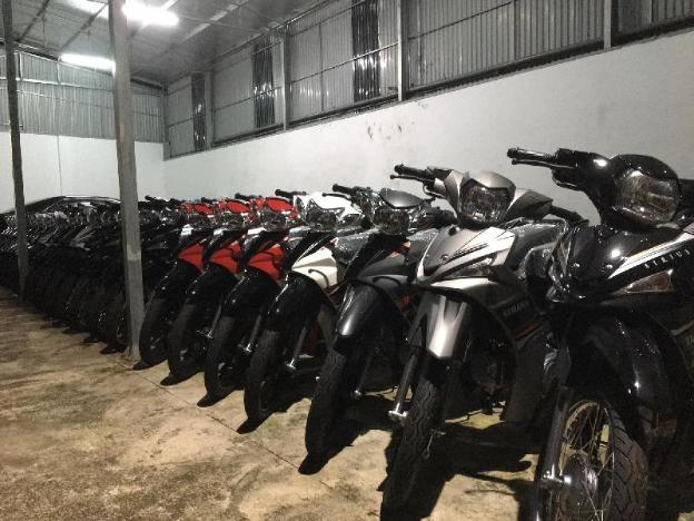 hg hostel and motorbikes