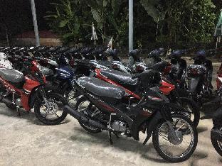 hg hostel and motorbikes