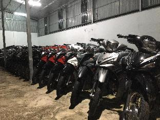 hg hostel and motorbikes