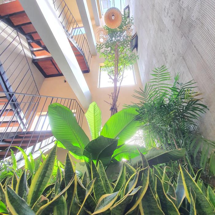 cagina boutique hostel
