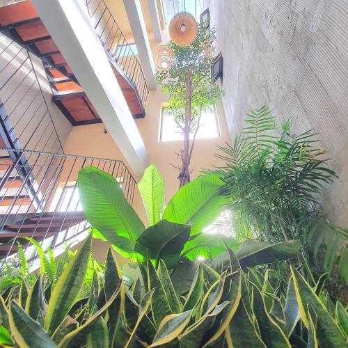 cagina boutique hostel