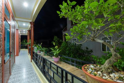 tam coc tuong vy homestay