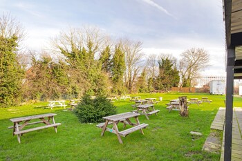 oyo the green man pub and hotel