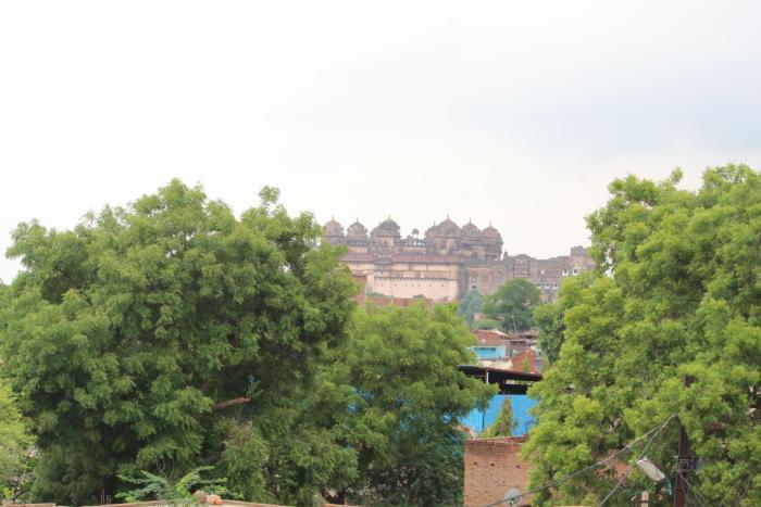 orchha best homestay
