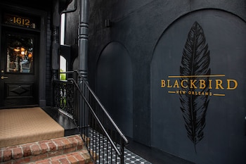the blackbird hotel