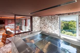 Crowne Plaza Lyon – Cité Internationale By Ihg,22 Quai Charles De Gaulle,4 star