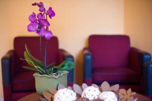 dialog hotel kungens kurva