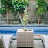 sebudjan grand aurora ubud