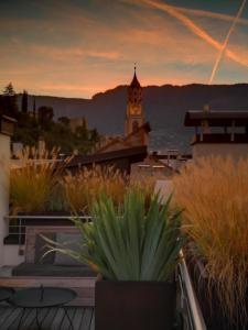 guesthouse suiteseven