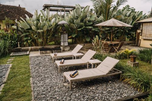 ubud shanti rice field house by supala