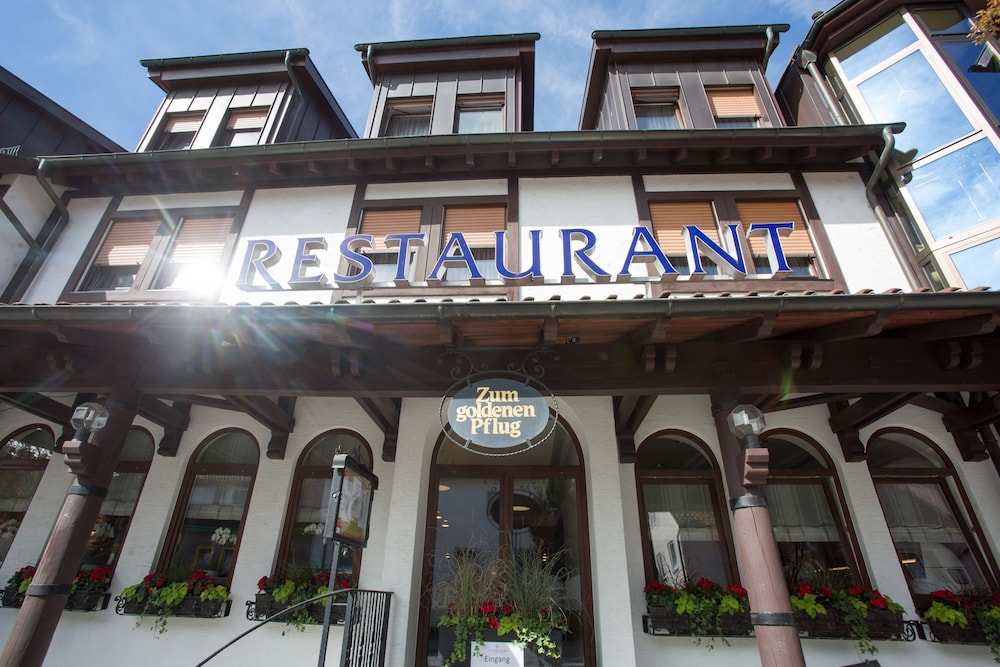 hotel and restaurant goldener pflug