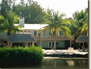 coconut palm inn