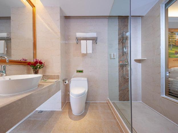 vienna international hotel meizhou dapu