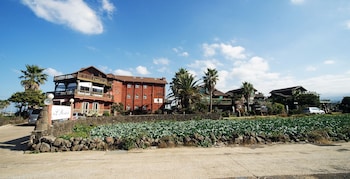 el roman pension