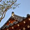 yeosu haneulchae hanok pension
