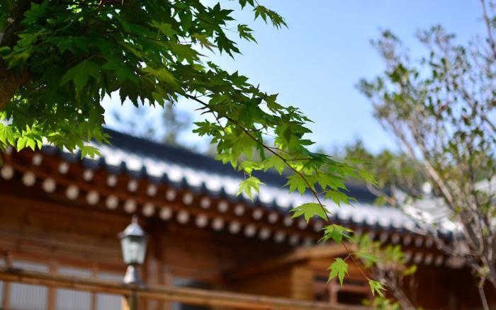 yeosu haneulchae hanok pension
