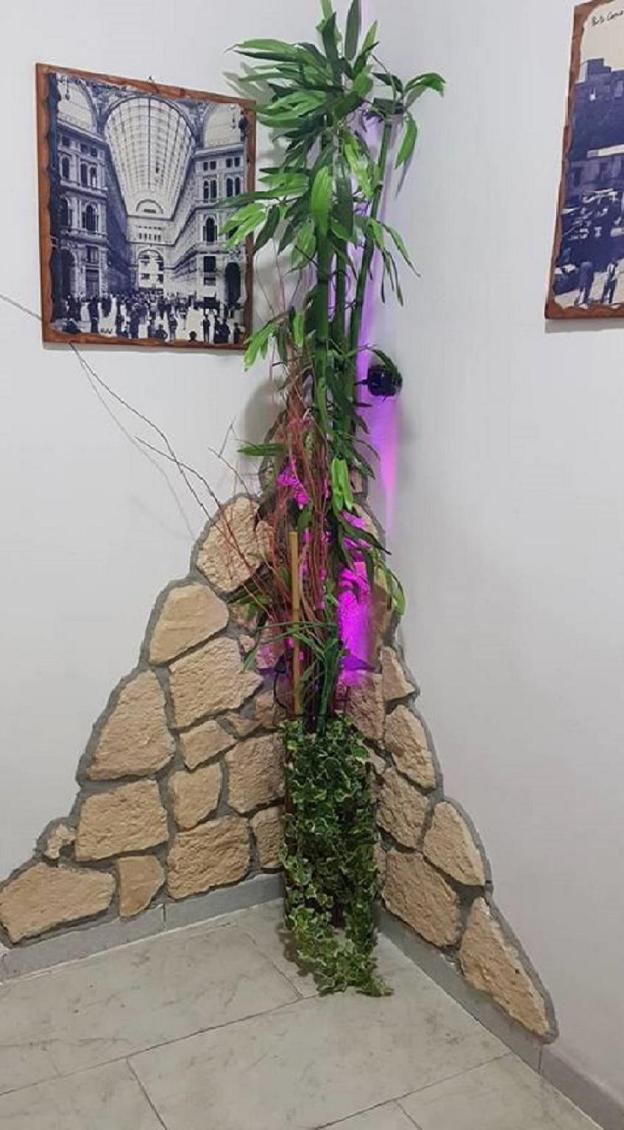 hotel ginevra