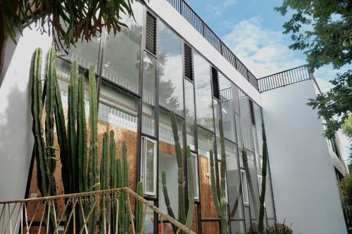 sun moon lake love to stick together b and b