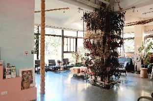 sun moon lake love to stick together b and b