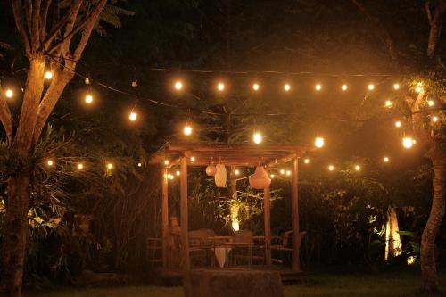 sun moon lake love to stick together b and b