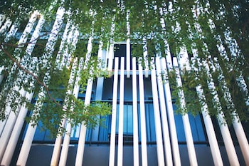 blu monkey bed and breakfast phuket