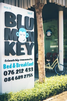 blu monkey bed and breakfast phuket
