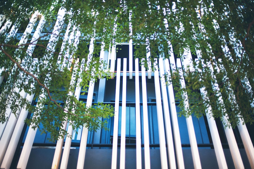 blu monkey bed and breakfast phuket