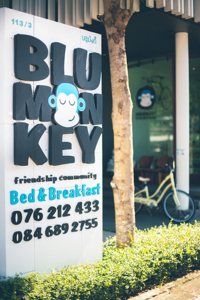 blu monkey bed and breakfast phuket