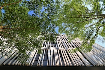 blu monkey bed and breakfast phuket