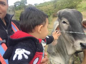 hotel campestre la fuente