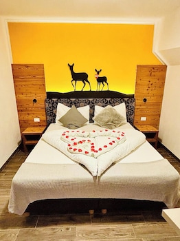 torcel affittacamere bar