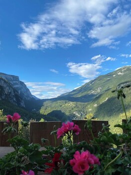 torcel affittacamere bar