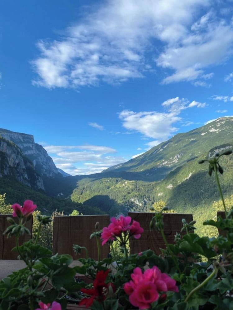 torcel affittacamere bar