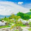 the village yufuin onsen glamping