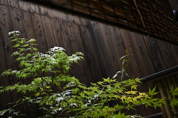 rinn premium hiun iii