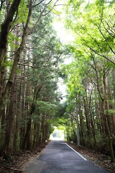 hotel sengokuhara 533